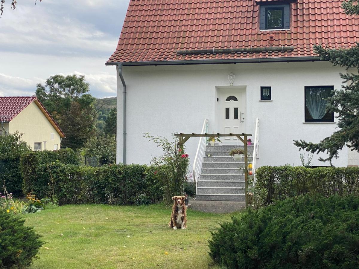 Ferienhaus Am Muehlgraben Thale Exterior photo